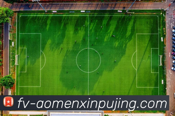 新葡京娱乐APP 封面图